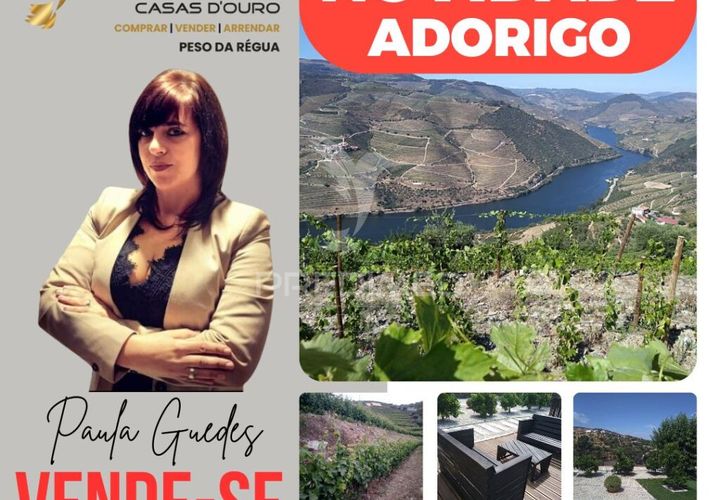 Farm hus i Tabuaco, Viseu, Tabuaco - € 760.000 | Ref: 052055 - foto 1