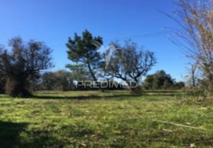 Helårsgrund i Cantanhede, Coimbra, Cantanhede - € 133.000 | Ref: 052109 - foto 1