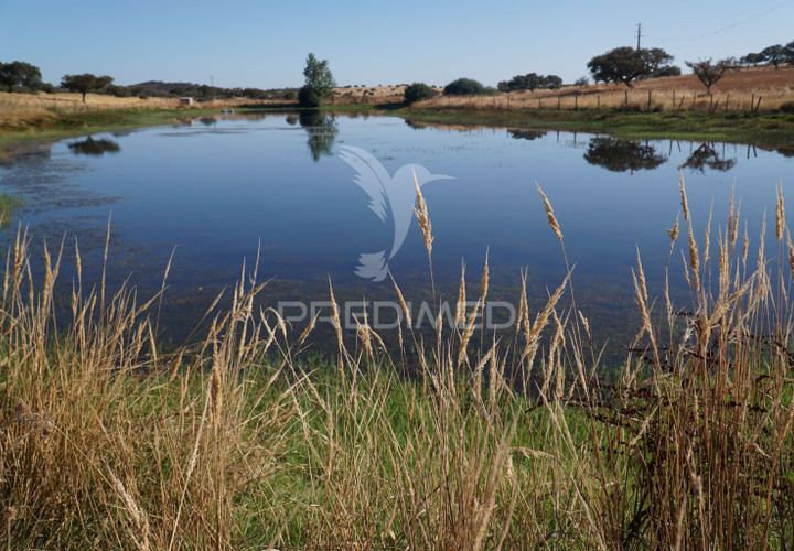 Farm hus i Alandroal, Evora, Alandroal - € 399.000 | Ref: 053979 - foto 1