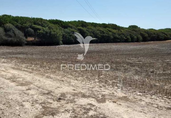 Helårsgrund i Sines, Setubal, Sines - € 139.000 | Ref: 056698 - foto 1