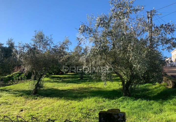Helårsgrund i Abrantes, Santarem, Abrantes - € 24.000 | Ref: 056722 - foto 1