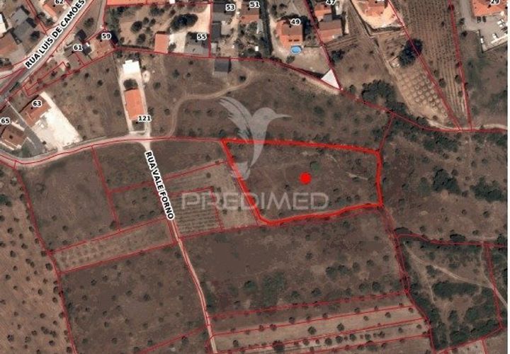 Helårsgrund i Ourem, Santarem, Ourem - € 10.000 | Ref: 032816 - foto 1