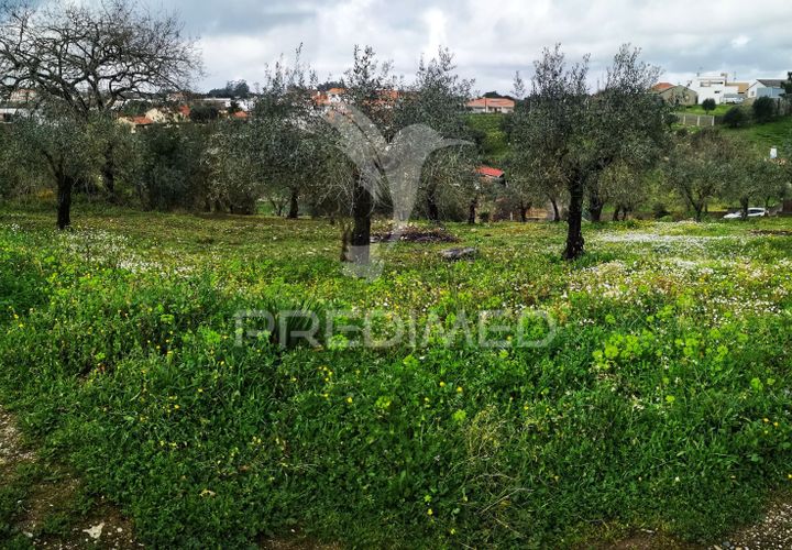 Helårsgrund i Leiria, Leiria, Leiria - € 45.000 | Ref: 042515 - foto 1