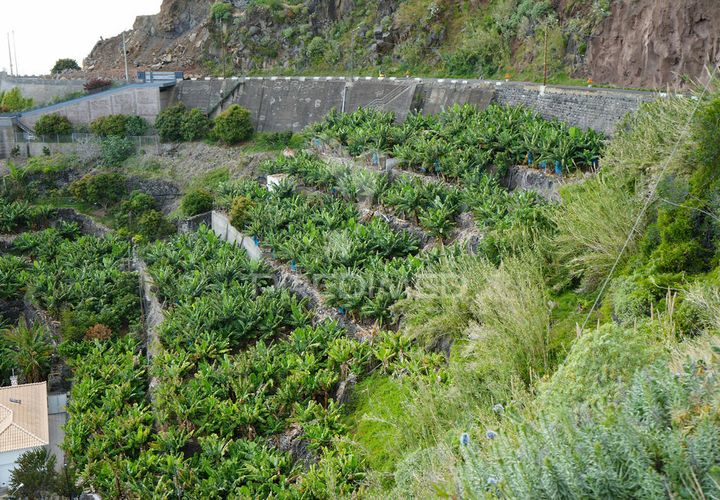 Helårsgrund i Calheta, Madeira, Calheta - € 425.000 | Ref: 043263 - foto 1