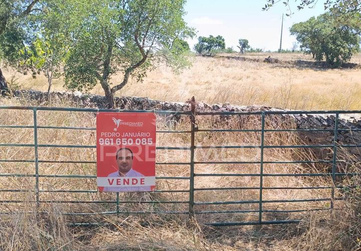 Terra a Nisa, Portalegre, Nisa - € 25.000 | Ref: 045991 - foto 1