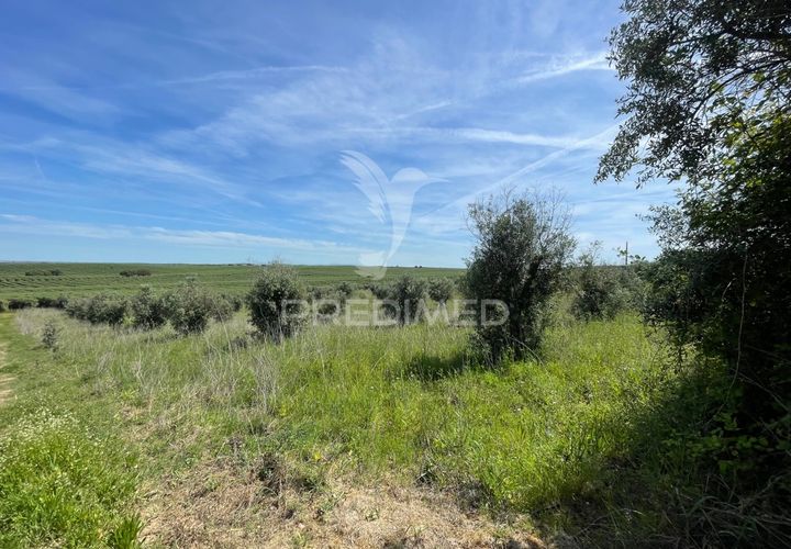 Tomt i Avis, Portalegre, Avis - € 25 000 | Ref: 046995 - foto 1