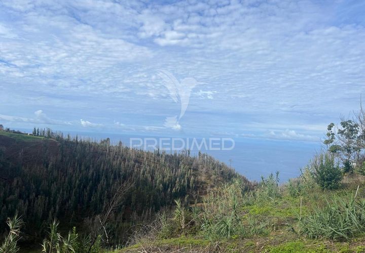 Byhus i Calheta, Madeira, Calheta - € 160.000 | Ref: 048687 - foto 1
