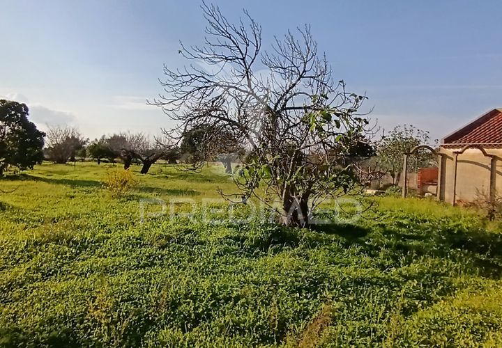 Helårsgrund i Palmela, Setubal, Palmela - € 374.900 | Ref: 049447 - foto 1