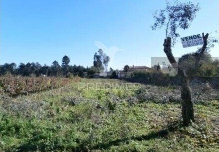 Helårsgrund i Agueda, Aveiro, Agueda - € 35.000 | Ref: 050689 - foto 1