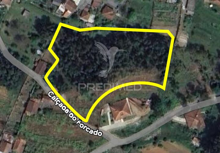Helårsgrund i Amarante, Porto, Amarante - € 82.500 | Ref: 050914 - foto 1