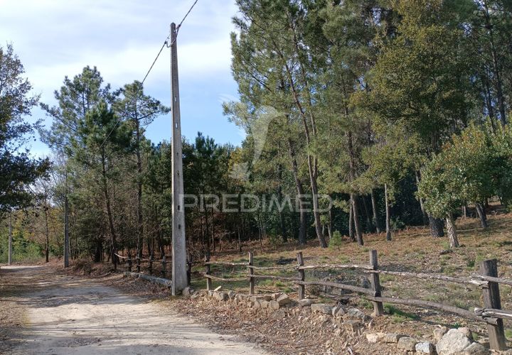 Helårsgrund i Mangualde, Viseu, Mangualde - € 59.500 | Ref: 051413 - foto 1
