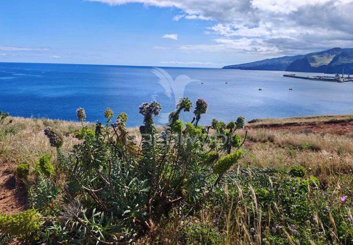 Helårsgrund i Machico, Madeira, Machico - € 290.000 | Ref: 053814 - foto 1