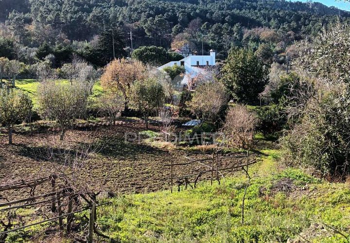 Farm hus i Castelo de Vide, Portalegre, Castelo de Vide - € 700.000 | Ref: 054239 - foto 1