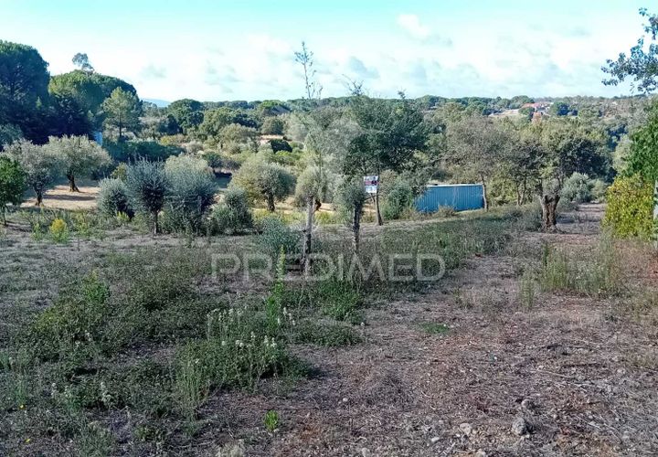 Helårsgrund i Ourem, Santarem, Ourem - € 35.000 | Ref: 055963 - foto 1