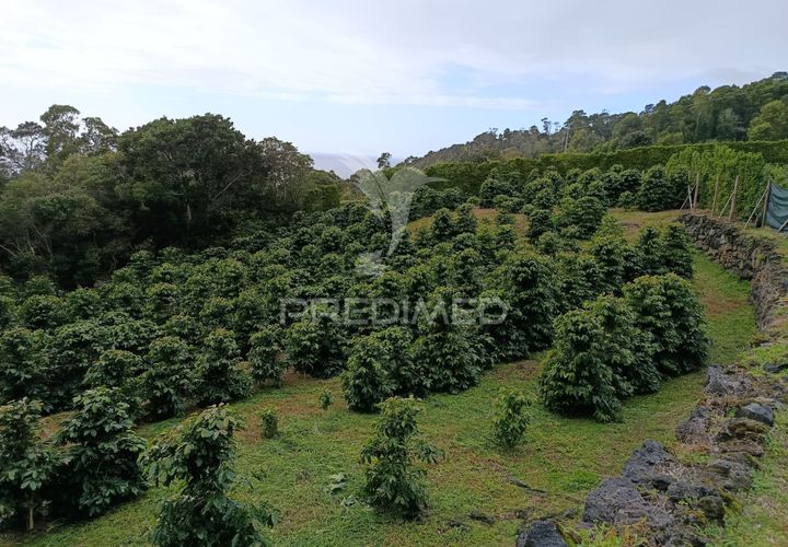 Helårsgrund i Velas, Sao Jorge, Velas - € 55.000 | Ref: 057367 - foto 1
