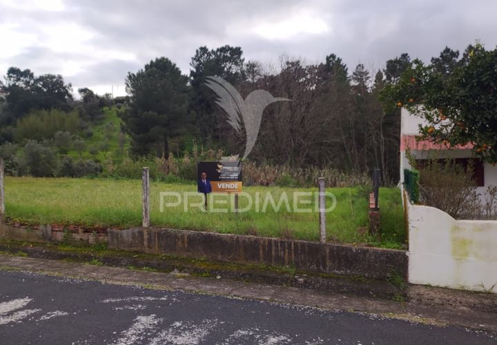 Terra a Chamusca, Santarem, Chamusca - € 32.000 | Ref: 058389 - foto 1