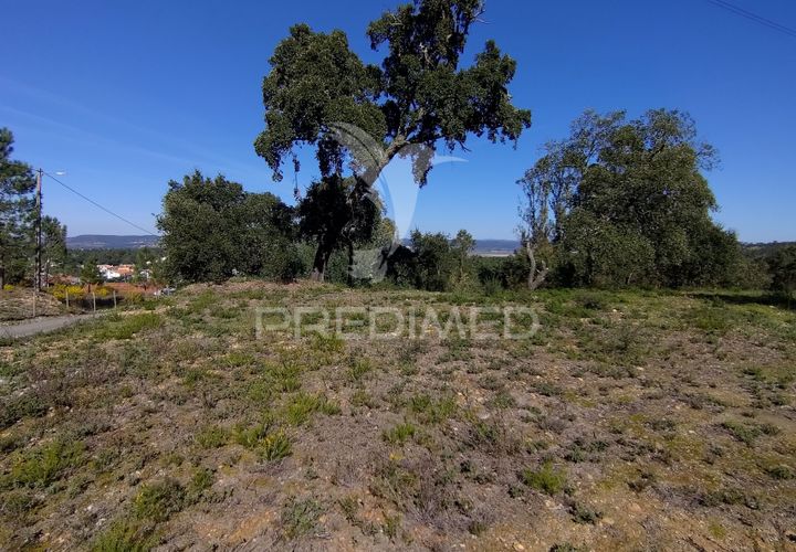 Terra a Constancia, Santarem, Constancia - € 13.500 | Ref: 058518 - foto 1