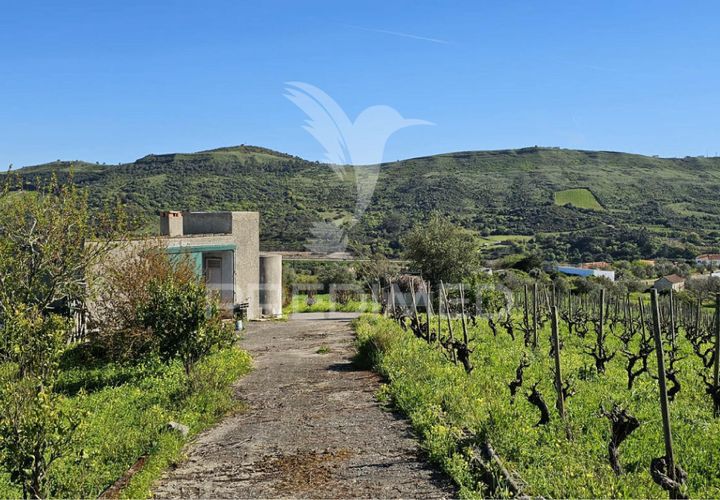 Helårsgrund i Loures, Lisbon, Loures - € 89.000 | Ref: 059524 - foto 1