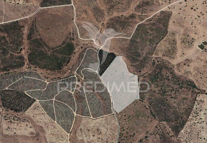 Helårsgrund i Nisa, Portalegre, Nisa - € 32.500 | Ref: 032426 - foto 1