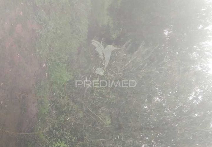 Terra a Armamar, Viseu, Armamar - € 48.000 | Ref: 033446 - foto 1