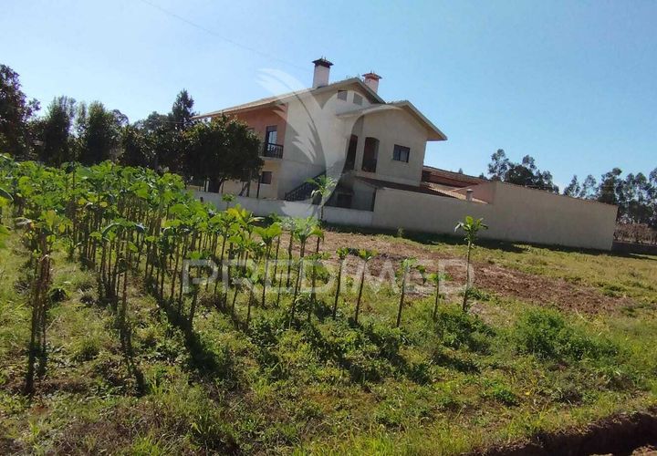 Helårsgrund i Agueda, Aveiro, Agueda - € 60.000 | Ref: 035431 - foto 1