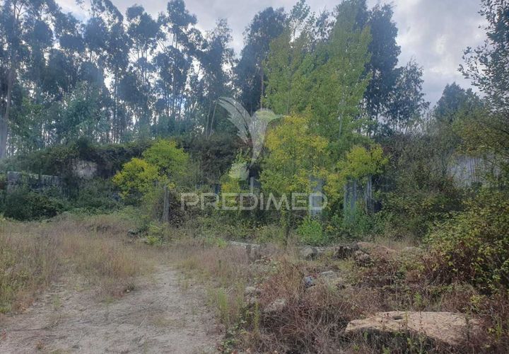 Helårsgrund i Fafe, Braga, Fafe - € 590.000 | Ref: 039384 - foto 1