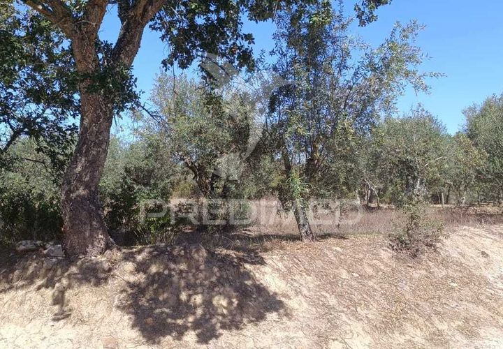 Helårsgrund i Nisa, Portalegre, Nisa - € 19.000 | Ref: 039722 - foto 1