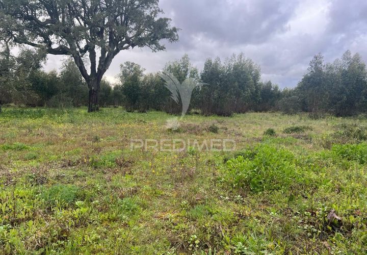 Helårsgrund i Palmela, Setubal, Palmela - € 240.000 | Ref: 043318 - foto 1