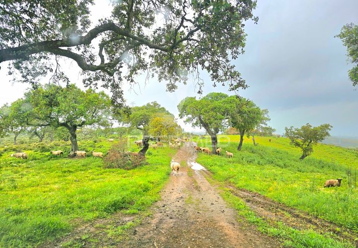 Helårsgrund i Almodovar, Beja, Almodovar - € 150.000 | Ref: 043885 - foto 1