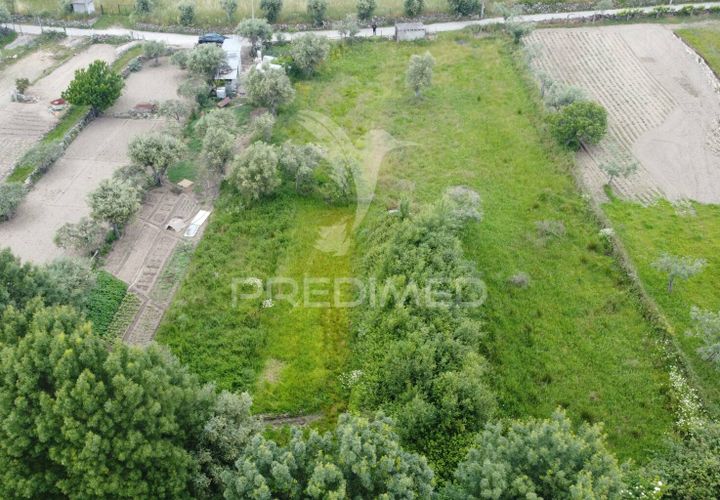 Terra a Celorico da Beira, Guarda, Celorico da Beira - € 6.000 | Ref: 045141 - foto 1