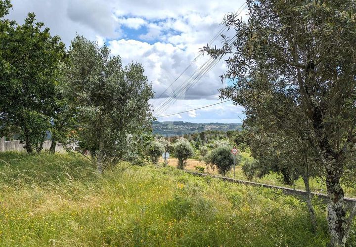 Helårsgrund i Viseu, Viseu, Viseu - € 70.000 | Ref: 045361 - foto 1