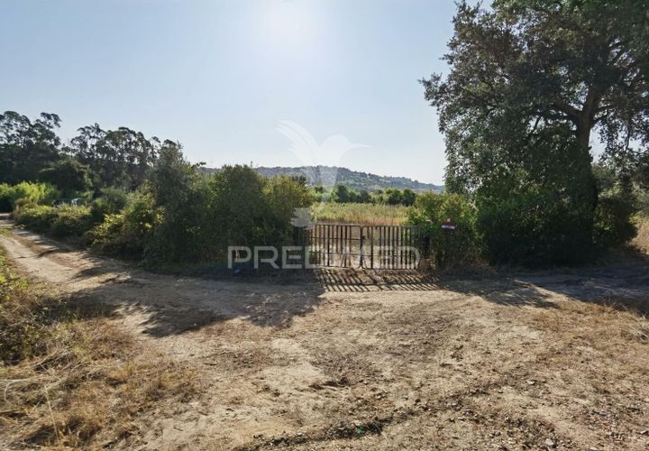 Helårsgrund i Alcanena, Santarem, Alcanena - € 24.000 | Ref: 046881 - foto 1