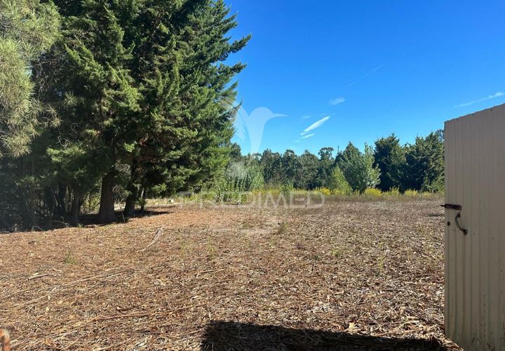Helårsgrund i Ourem, Santarem, Ourem - € 39.000 | Ref: 047619 - foto 1