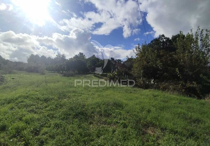 Tomt i Chamusca, Santarem, Chamusca - € 39 900 | Ref: 048182 - foto 1