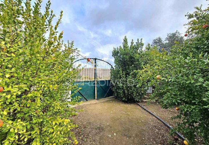 Terra a Castro Verde, Beja, Castro Verde - € 50.000 | Ref: 048325 - foto 1