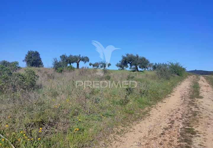 Terra a Alcanena, Santarem, Alcanena - € 12.000 | Ref: 050111 - foto 1
