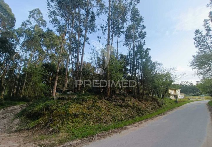 Helårsgrund i Ourem, Santarem, Ourem - € 50.000 | Ref: 051584 - foto 1