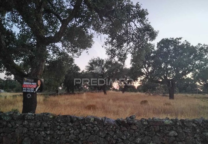 Terra a Castelo de Vide, Portalegre, Castelo de Vide - € 50.000 | Ref: 053543 - foto 1