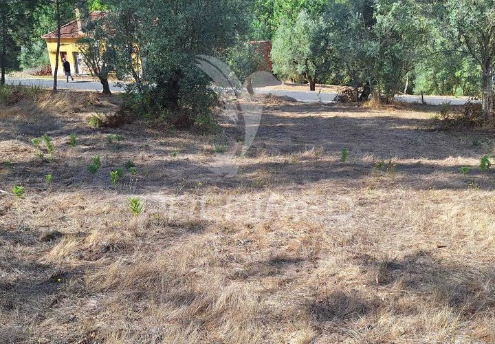 Helårsgrund i Ourem, Santarem, Ourem - € 29.250 | Ref: 054965 - foto 1