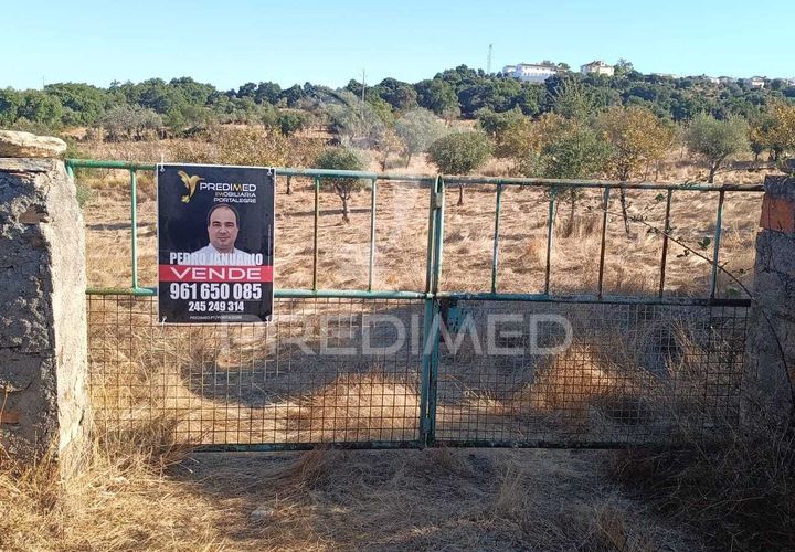 Terra a Nisa, Portalegre, Nisa - € 20.000 | Ref: 055396 - foto 1