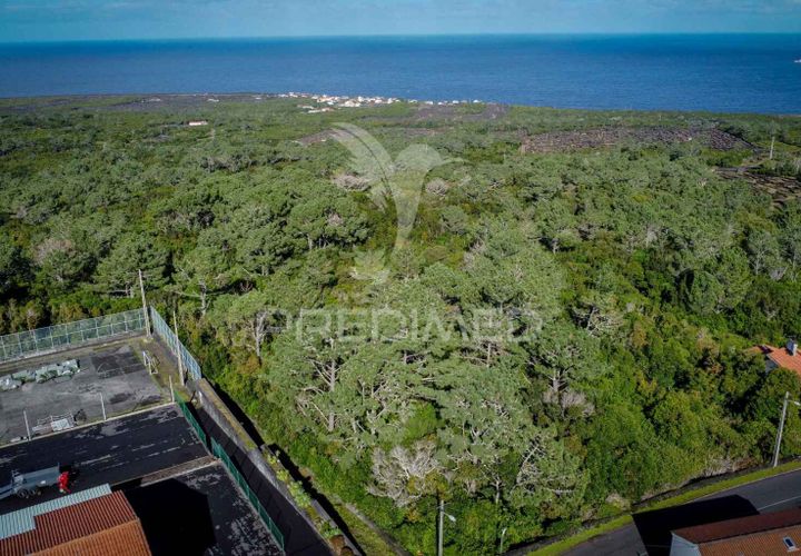 Helårsgrund i Sao Roque do Pico, Pico, Sao Roque do Pico - € 50.000 | Ref: 056574 - foto 1
