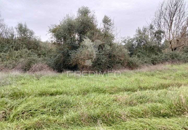 Terra a Alandroal, Evora, Alandroal - € 21.150 | Ref: 057360 - foto 1
