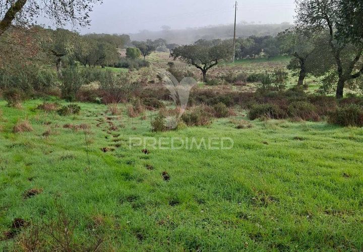 Terra a Alandroal, Evora, Alandroal - € 31.150 | Ref: 057364 - foto 1