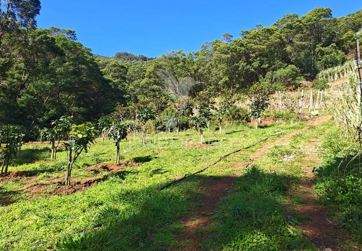 Helårsgrund i Machico, Madeira, Machico - € 400.000 | Ref: 057481 - foto 1