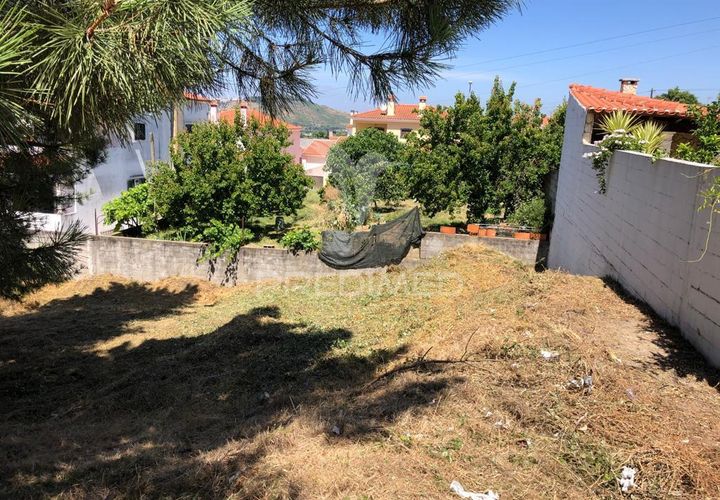 Helårsgrund i Abrantes, Santarem, Abrantes - € 30.000 | Ref: 057929 - foto 1