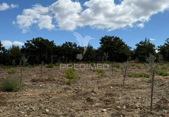 Terra a Penedono, Viseu, Penedono - € 11.000 | Ref: 058342 - foto 1