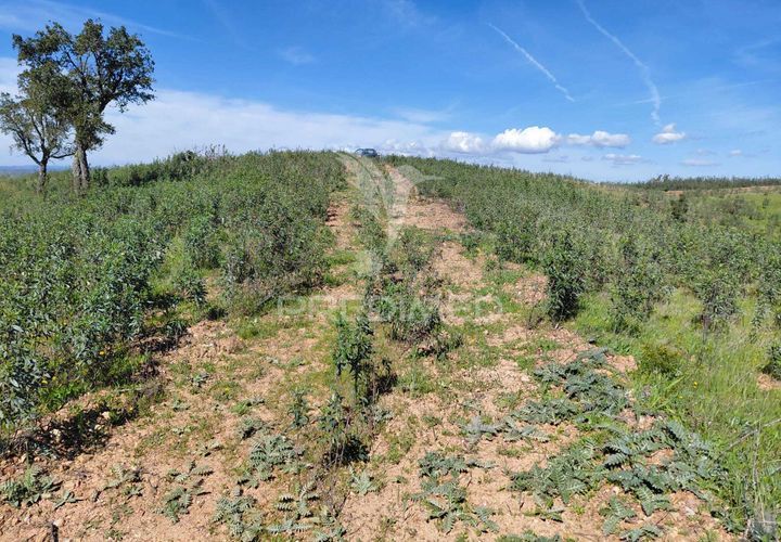 Farm hus i Odemira, Beja, Odemira - € 55.000 | Ref: 059047 - foto 1