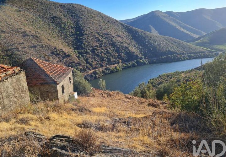 Terra a Torre de Moncorvo, Braganca, Torre de Moncorvo - € 560.000 | Ref: 858547 - foto 1