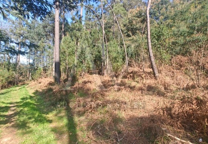 Helårsgrund i Satao, Viseu, Satao - € 9.457 | Ref: AV1896_V18 - foto 1