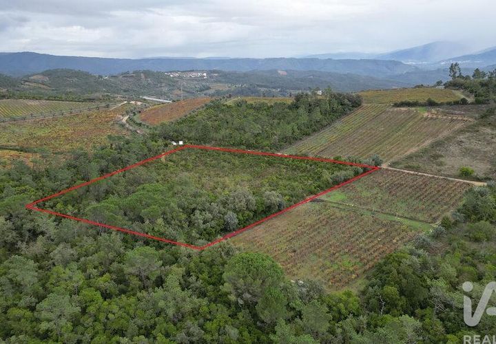 Helårsgrund i Condeixa-a-Nova, Coimbra, Condeixa-a-Nova - € 35.000 | Ref: 856491 - foto 1